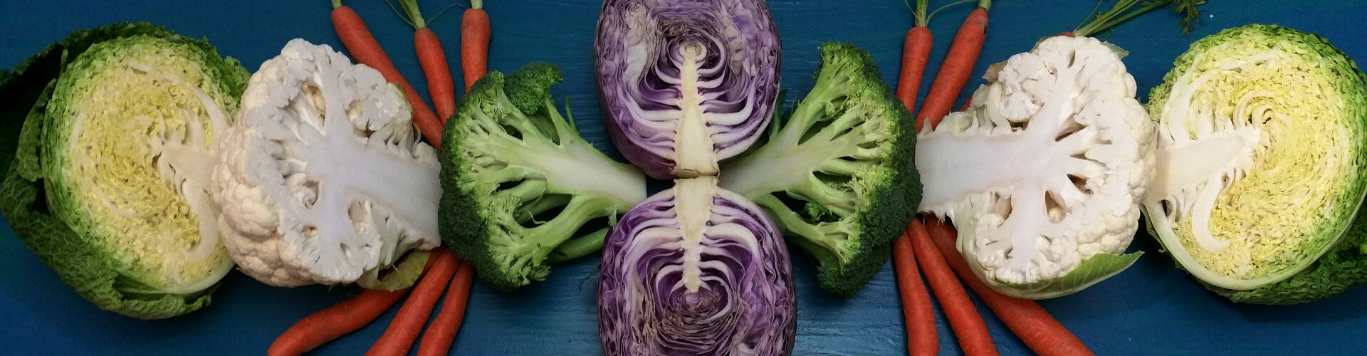 Vegetarische Rezepte