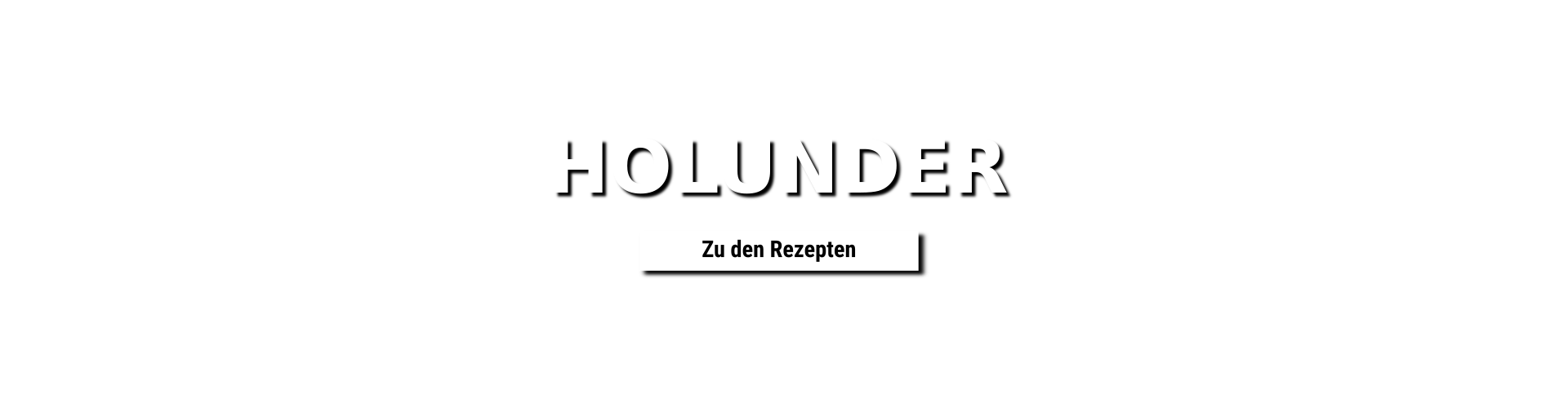 Holunder Rezepte