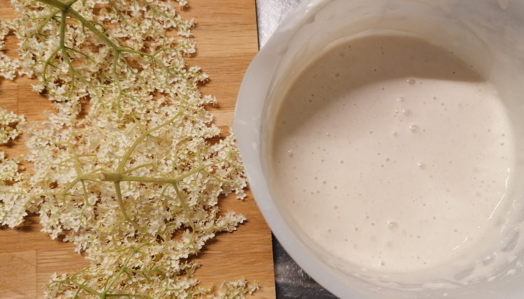 Holunderblüten in Backteig (glutenfrei, vegan) - Hexenlabor